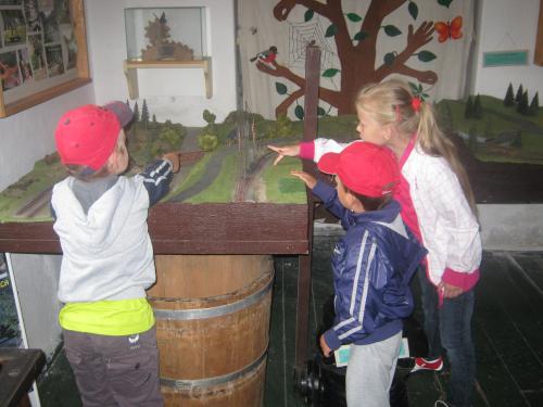 IMG_0069.JPG IMG_0069.JPG